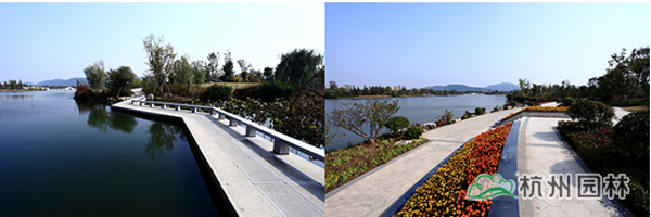 电竞比赛押注app