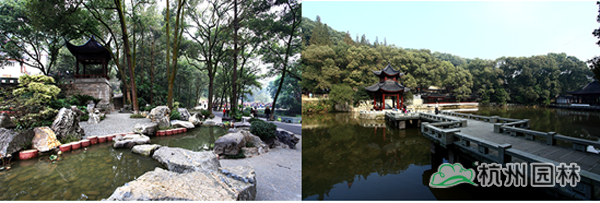 电竞比赛押注app