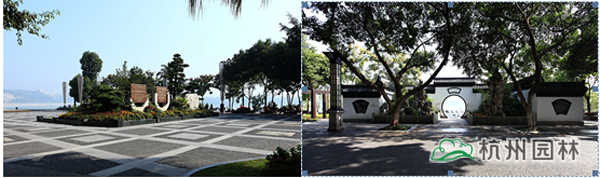 电竞比赛押注app