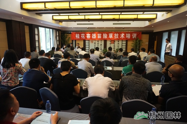 电竞比赛押注app