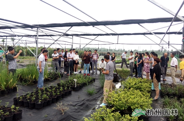 电竞比赛押注app