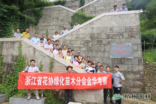 电竞比赛押注app