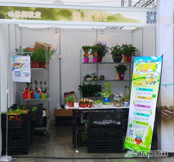 电竞比赛押注app