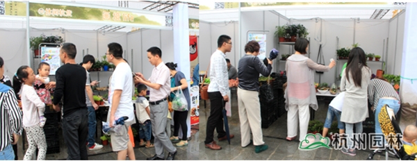 电竞比赛押注app