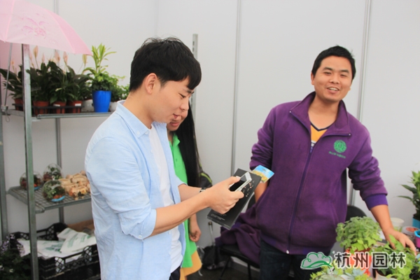 电竞比赛押注app