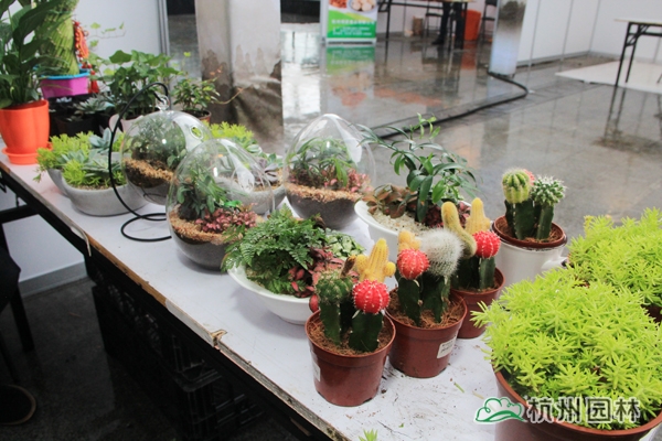 电竞比赛押注app