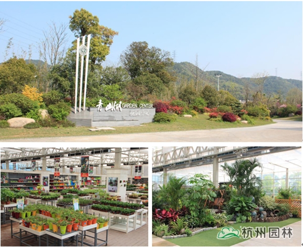 电竞比赛押注app