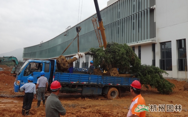 电竞比赛押注app