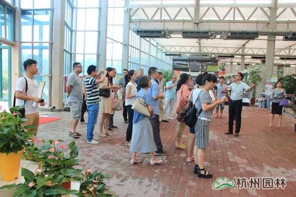 电竞比赛押注app