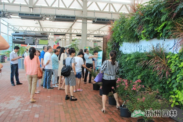 电竞比赛押注app