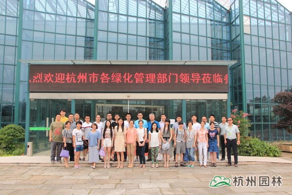 电竞比赛押注app