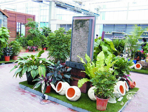 电竞比赛押注app