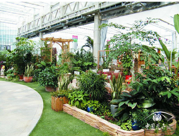 电竞比赛押注app