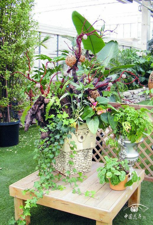 电竞比赛押注app