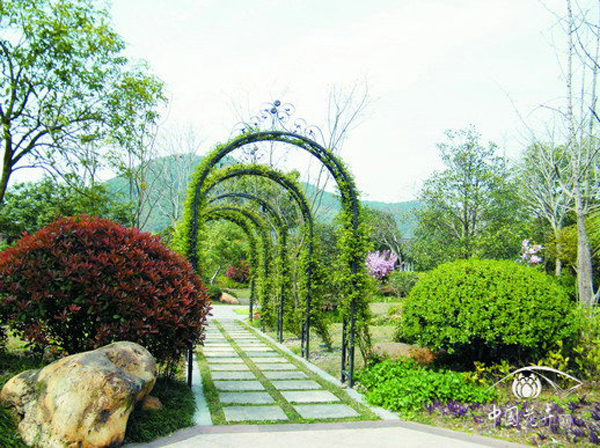 电竞比赛押注app