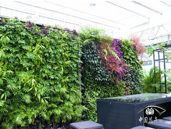 电竞比赛押注app