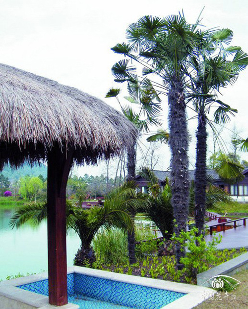 电竞比赛押注app