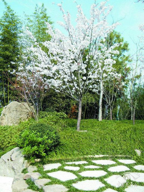 电竞比赛押注app