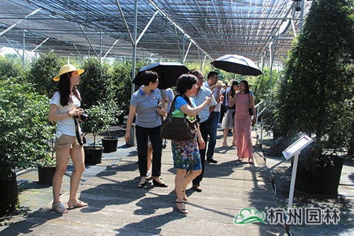 电竞比赛押注app