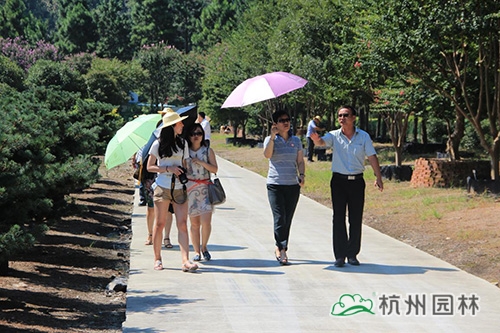 电竞比赛押注app