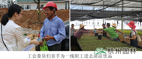 电竞比赛押注app