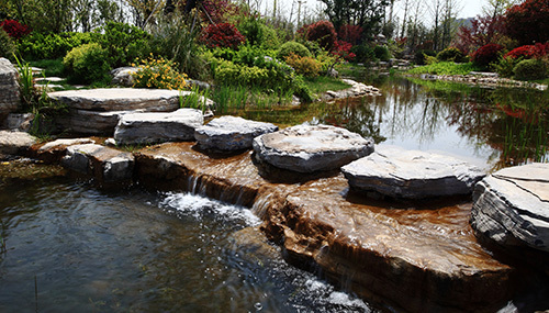 电竞比赛押注app