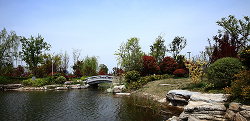 电竞比赛押注app