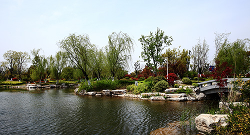 电竞比赛押注app