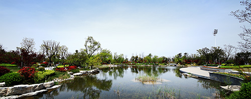 电竞比赛押注app