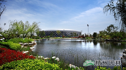 电竞比赛押注app