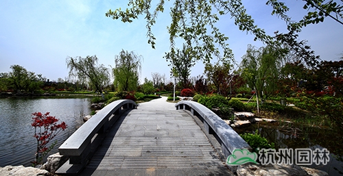 电竞比赛押注app