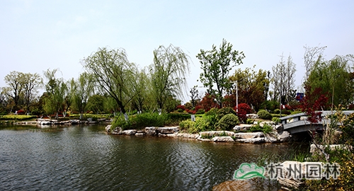 电竞比赛押注app