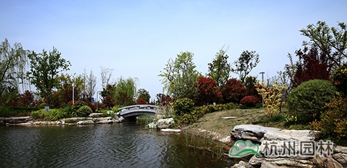 电竞比赛押注app