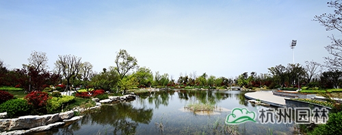 电竞比赛押注app