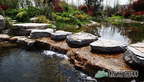 电竞比赛押注app