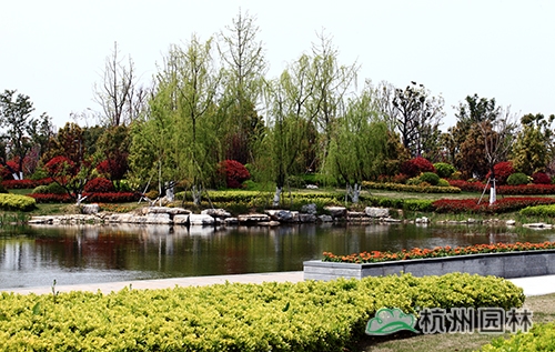 电竞比赛押注app