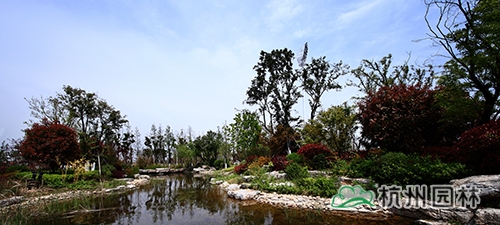 电竞比赛押注app