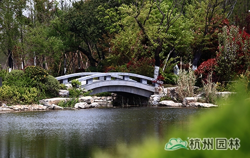 电竞比赛押注app