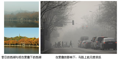 电竞比赛押注app