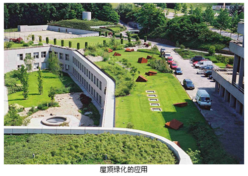 电竞比赛押注app