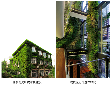 电竞比赛押注app