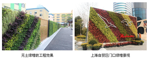 电竞比赛押注app