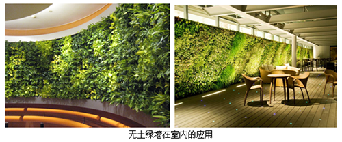 电竞比赛押注app