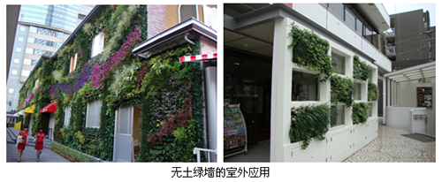 电竞比赛押注app