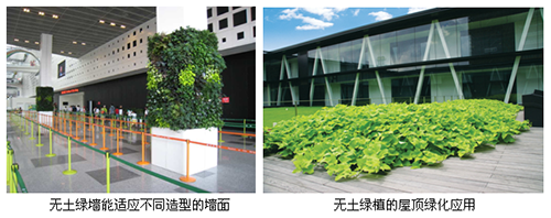 电竞比赛押注app