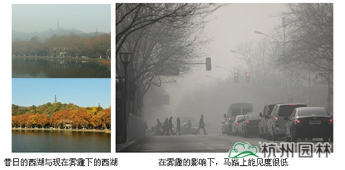 电竞比赛押注app