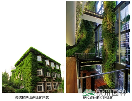 电竞比赛押注app