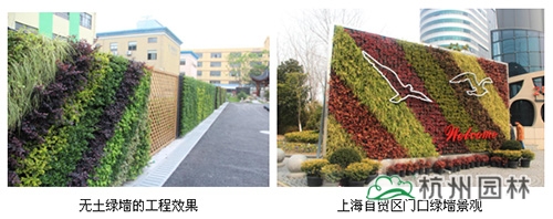 电竞比赛押注app