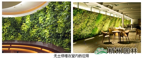 电竞比赛押注app