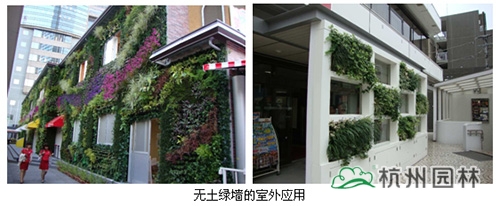 电竞比赛押注app